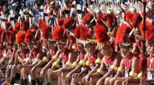 Tuluni Festival: Summertime Revelry in Nagaland