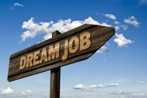 Job Opportunities Outside of Government Sector in Nagaland