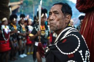 The Tribes of Nagaland