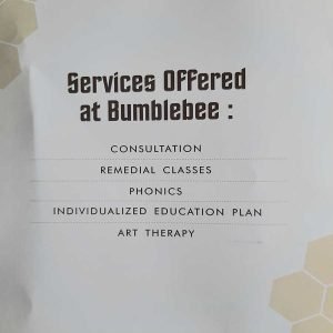 Bumblebee Inclusive School