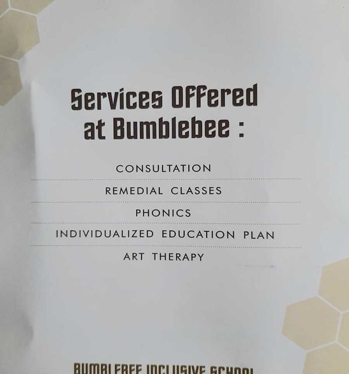 Bumblebee Inclusive School