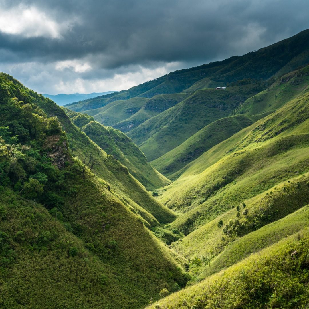 Dzukou valley