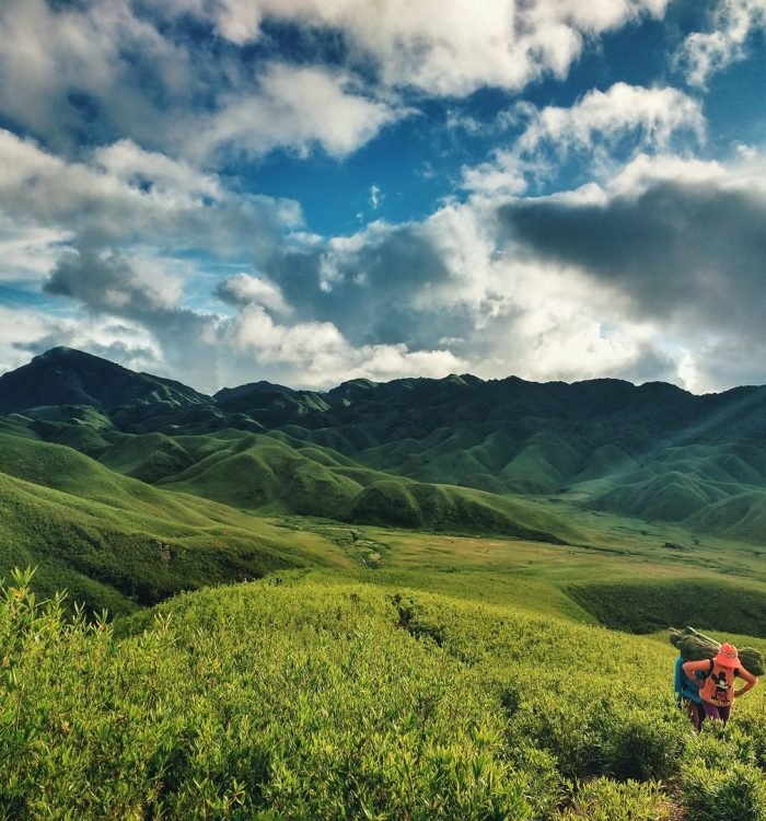 Nagaland’s Nature: Discovering the Enigmatic Scenery and Biodiversity