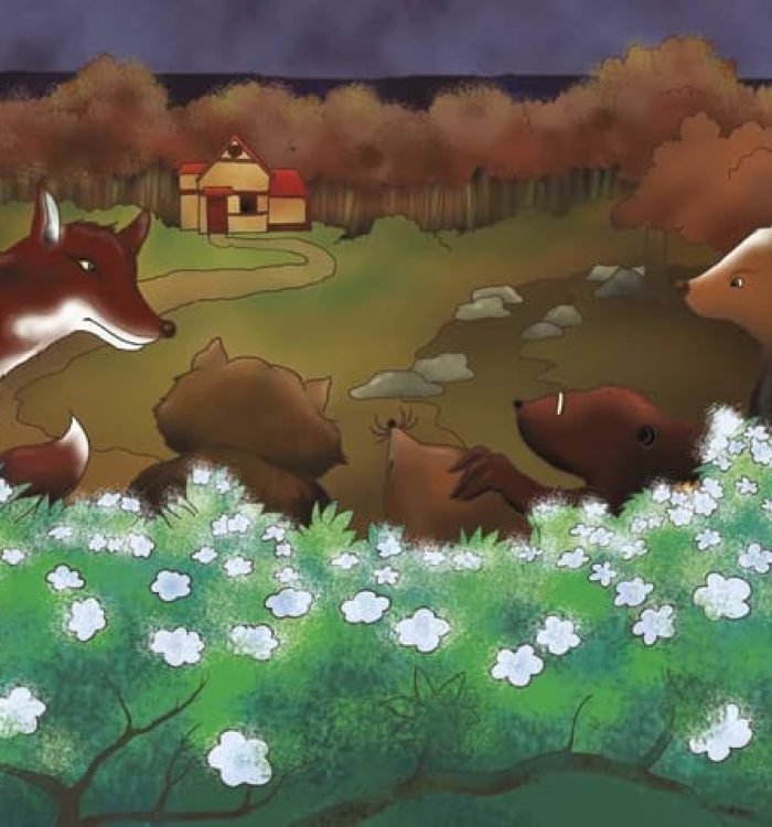 Lijaba’s Garden: An Ao- Naga traditional tale Retold