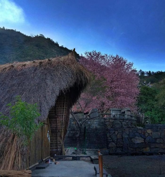 Nagaland Heritage Sites: Architectural Marvels of the Tribes