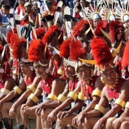 Tuluni Festival: Summertime Revelry in Nagaland