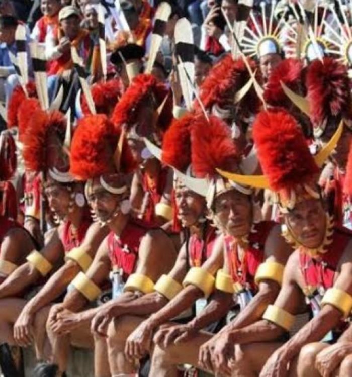 Tuluni Festival: Summertime Revelry in Nagaland