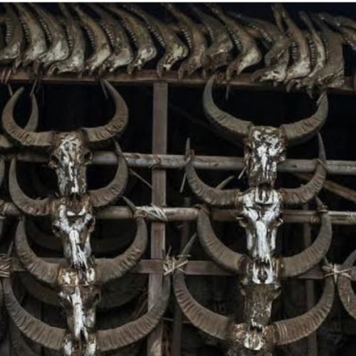 Embracing Tradition: The Timeless Significance of Hunting Among the Nagas