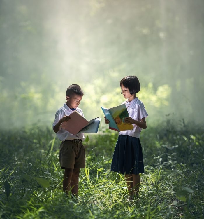 Fields Of Study And It’s Limitations In Nagaland