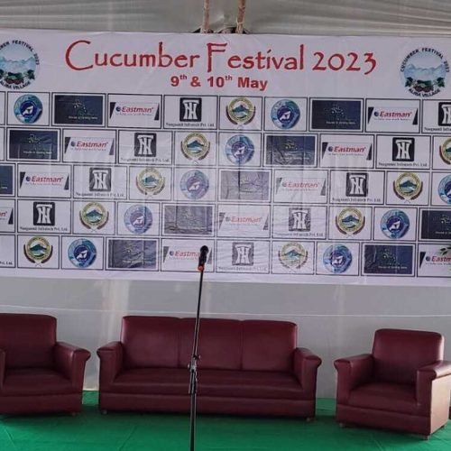 Cucumber Festival of Aliba Village