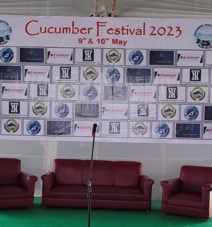 Cucumber Festival of Aliba Village