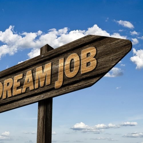 Job Opportunities Outside of Government Sector in Nagaland