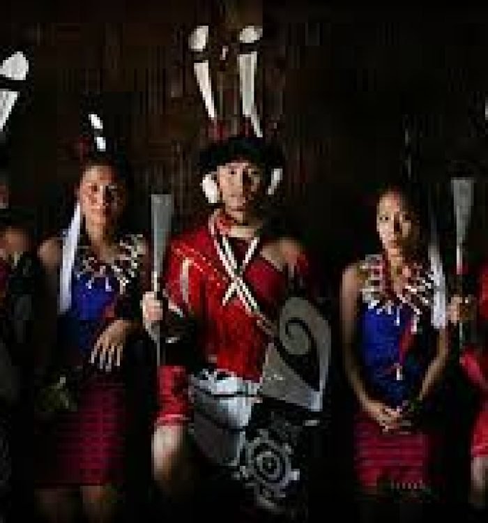 Discovering the Ao Naga Language: Unveiling a Linguistic Gem from Northeast India