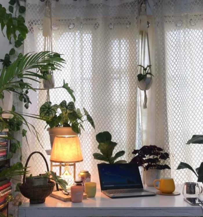 Discover the Hidden Health Treasures of Indoor Plants: Your Pathway to a Healthier and Happier Life