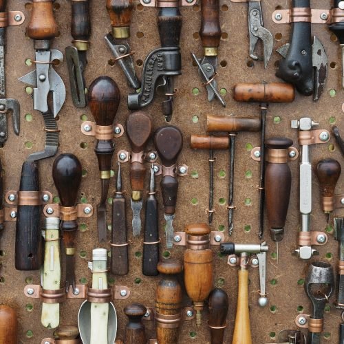 The Youth Of Nagaland And Hobbies