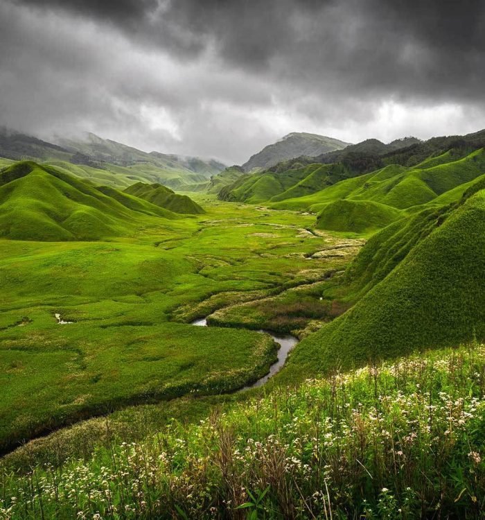 Why You Should Visit Nagaland At Least Once